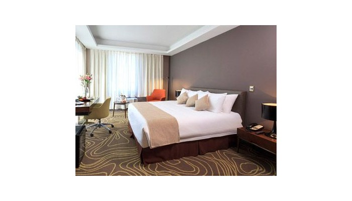 Hotel Manquehue Aeropuerto poza 9