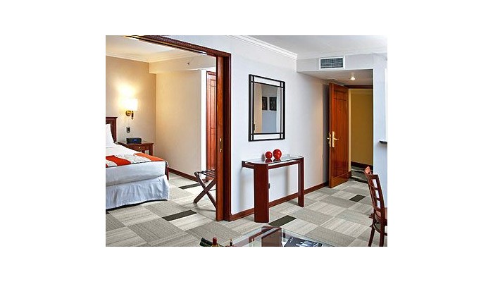 Hotel Plaza El Bosque Ebro poza 8