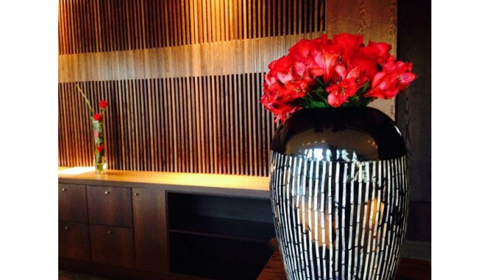 Hotel Plaza El Bosque Nueva Las Condes poza 10