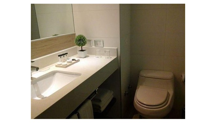 Hotel Plaza El Bosque Nueva Las Condes poza 11