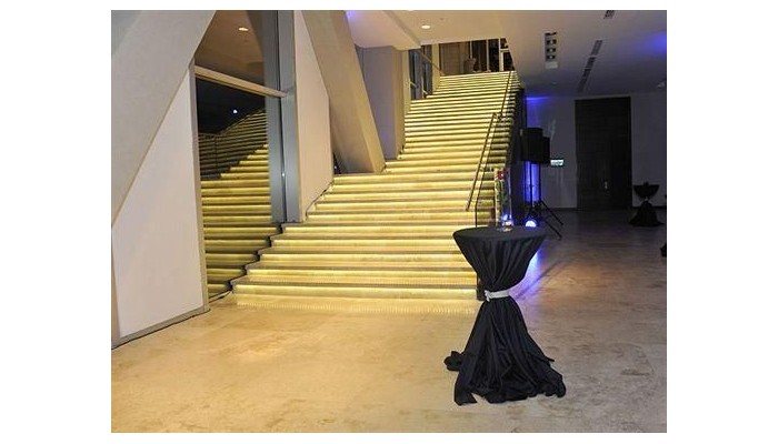 Hotel Plaza El Bosque Nueva Las Condes poza 8