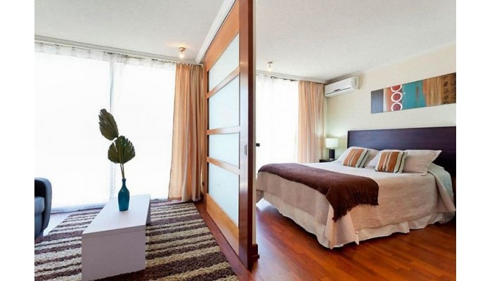 Hotel Premium Capital Providencia poza 0