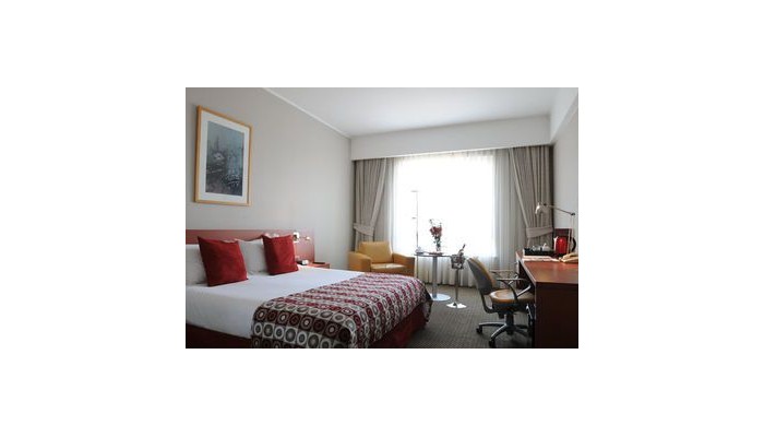 Hotel Radisson Santiago Ciudad Empre poza 1