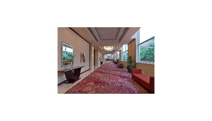 Hotel Sheraton Santiago & Convention Center poza 2