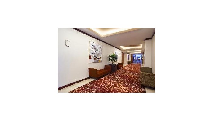 Hotel Sheraton Santiago & Convention Center poza 3