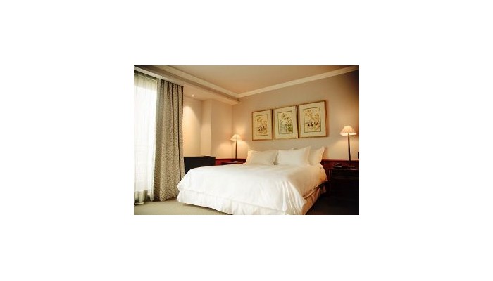 Hotel The Singular Santiago poza 6