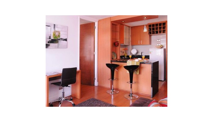 Metropolitan Santiago Apartments poza 6