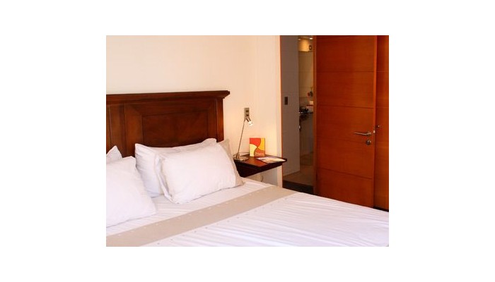 Monarca Hoteles Apart Las Condes poza 10