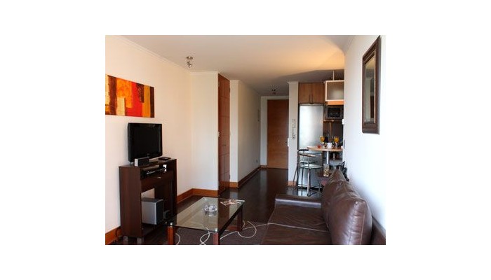 Monarca Hoteles Apart Las Condes poza 7