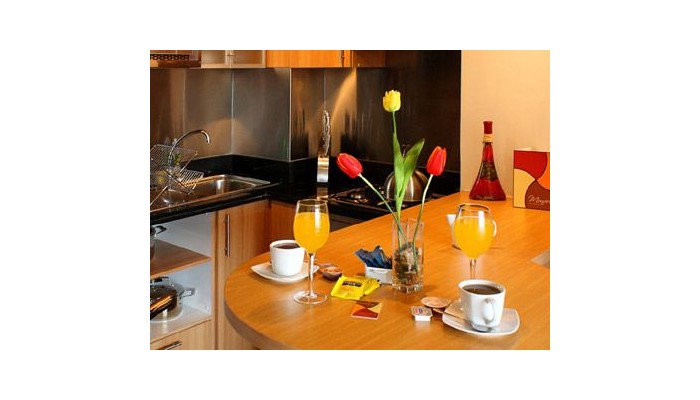 Monarca Hoteles Apart Las Condes poza 9