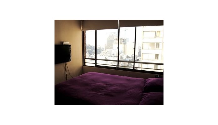 Santiago Furnished Apartments poza 10