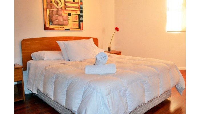 Santiago Suite Apartment poza 1