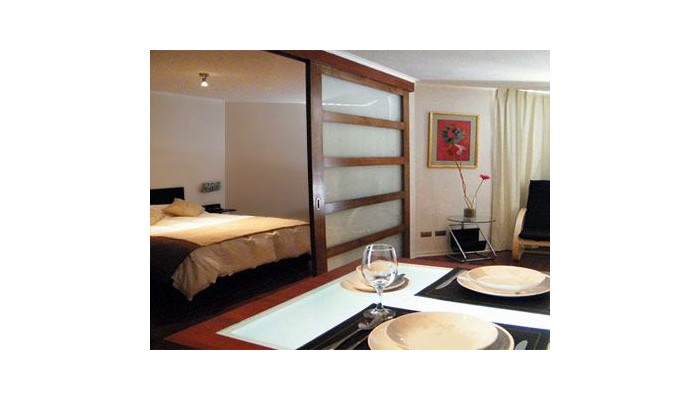 Santiago Suite Apartment poza 10