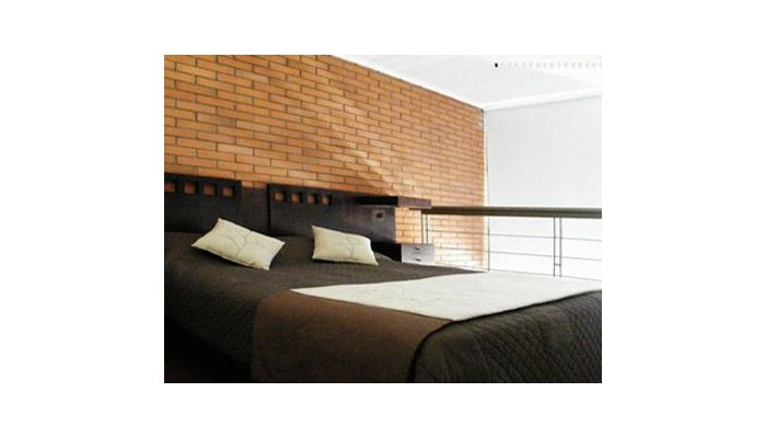 Santiago Suite Apartment poza 7
