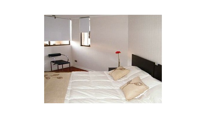 Santiago Suite Apartment poza 11