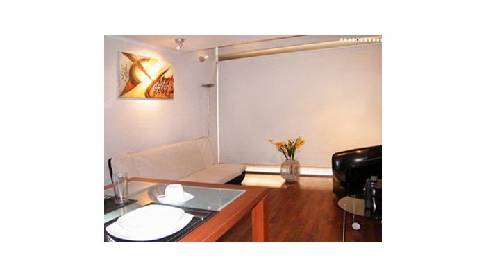 Santiago Suite Apartment poza 8