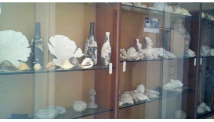 Hotel El Senorial poza 0