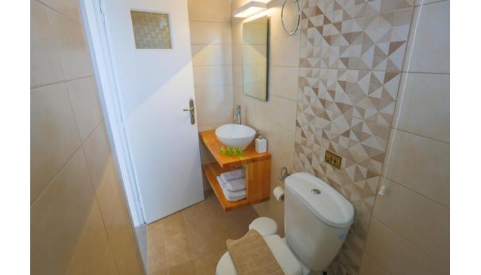 Ecoxenia Studios poza 5