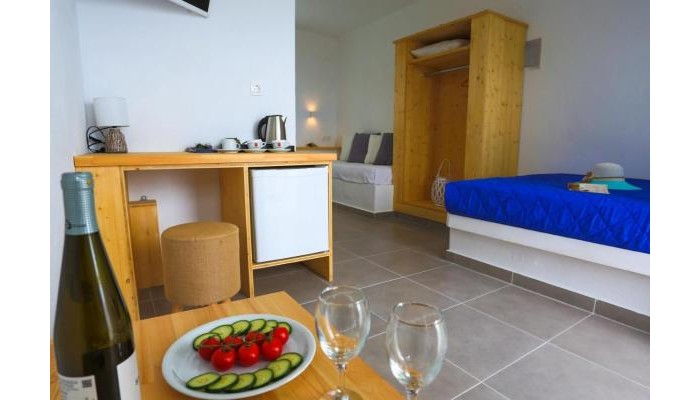 Ecoxenia Studios poza 1