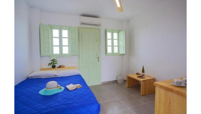 Ecoxenia Studios poza 3