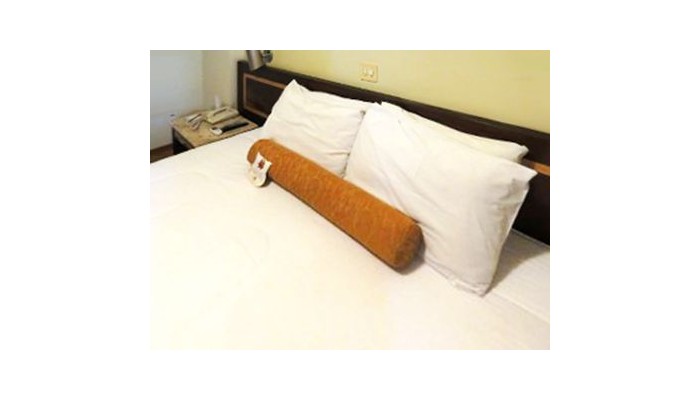 Hotel Carlton Plaza Sa£o Josa© Dos Campos poza 1