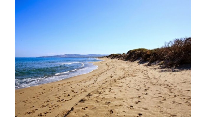 Hotel Club Del Golfo poza 1