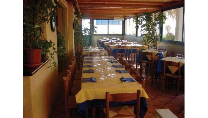 Hotel De Plam poza 7