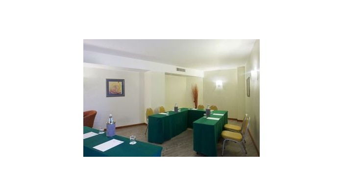 Hotel Holiday Inn poza 6