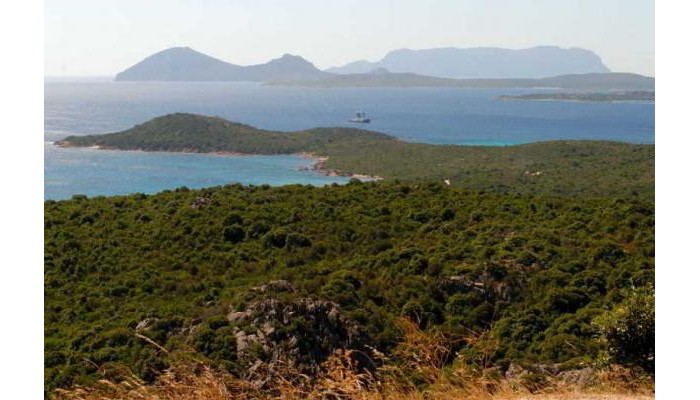 Hotel Le Sirene poza 0