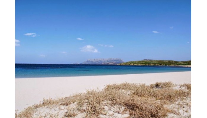 Hotel Luna Lughente poza 0