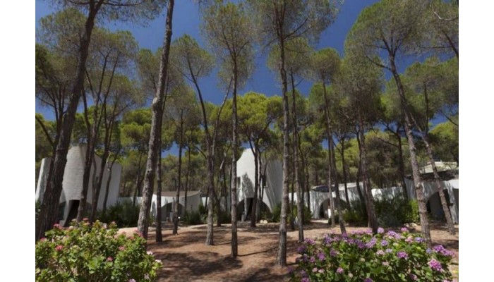 Hotel Mare Pineta poza 9