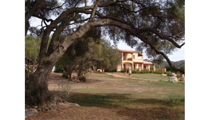 Hotel Parco Degli Ulivi poza 0