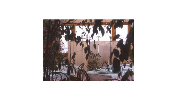 Hotel Ulivi E Palme poza 4