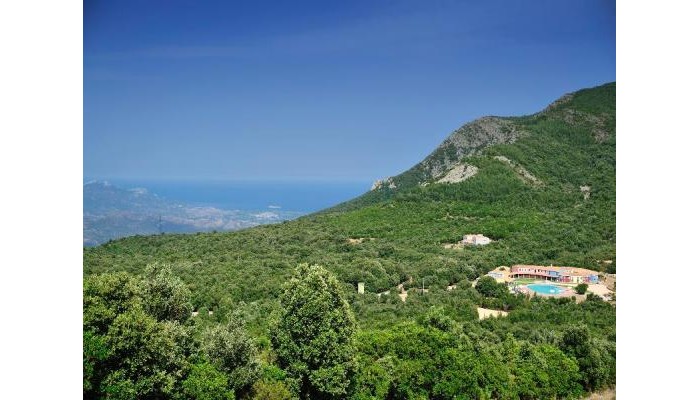 Orlando Resort poza 4