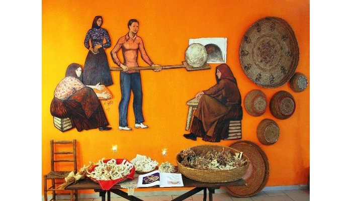 Orlando Resort poza 9