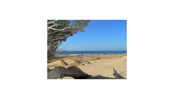 Tarthes Hotel poza 5