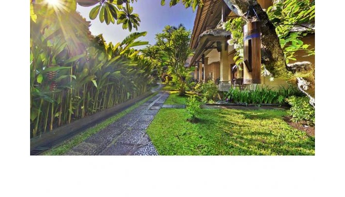 Bali Agung Village poza 8
