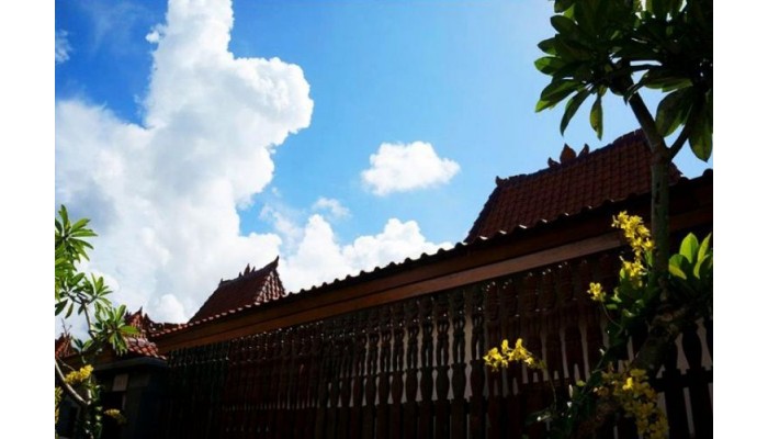 Hotel Alam Bidadari Seminyak poza 1