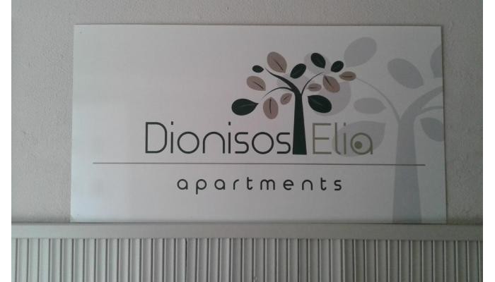 Hotel Dionisos Elia poza 1