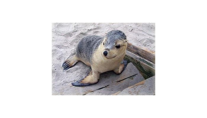 Hotel Flour Cask Bay Retreat poza 8