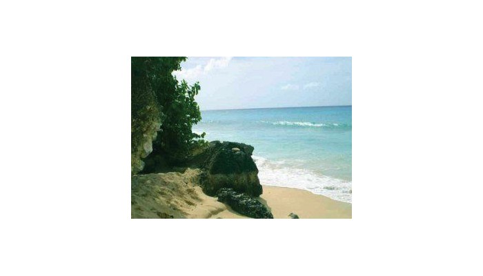 Angler Apartments poza 10