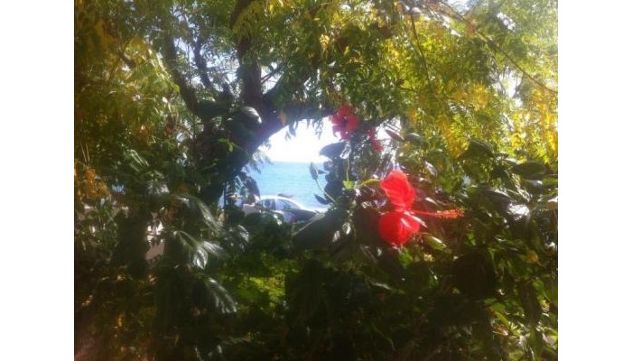 Hotel Stegna Mare poza 5