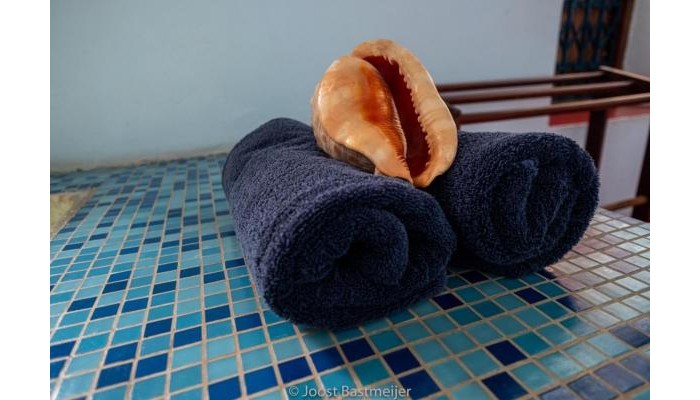 Hotel Zanzibar Palace poza 9