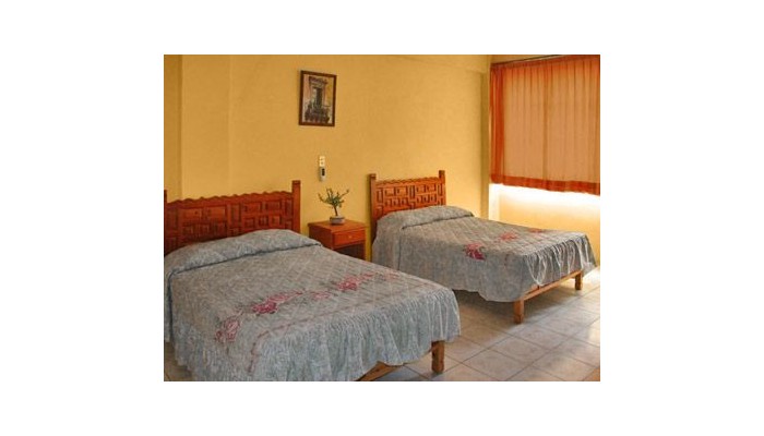 Hotel El Taxquea±ito poza 1