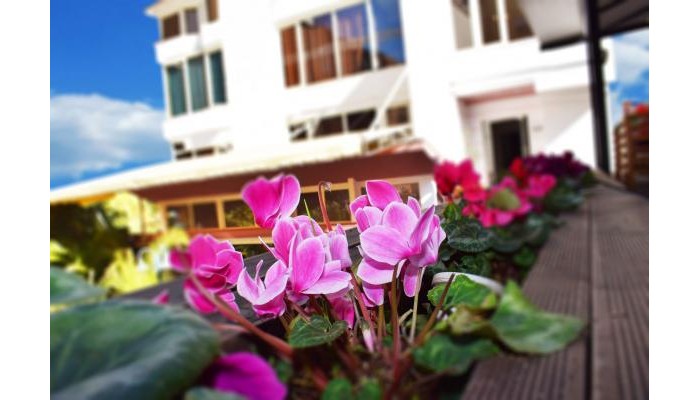 Royal Vila Hotel poza 0