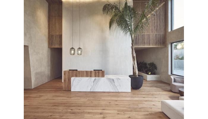 Olea All Suite Hotel poza 4