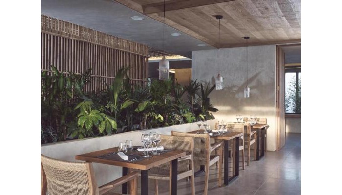 Olea All Suite Hotel poza 20