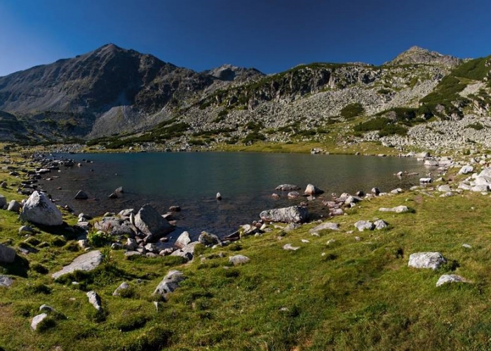 Sofia Borovets poza Sofia Borovets poza