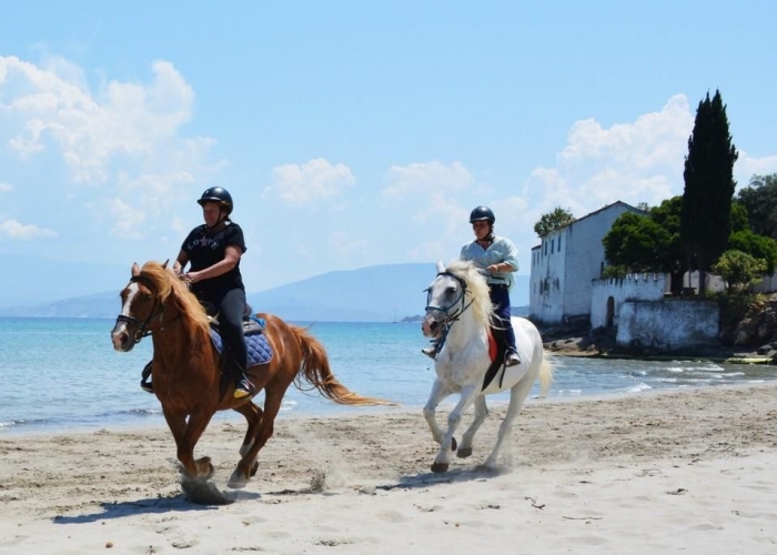  Insula Corfu Dassia poza