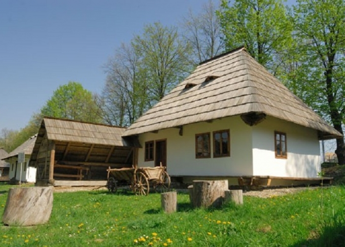  Bucovina Vatra Dornei poza